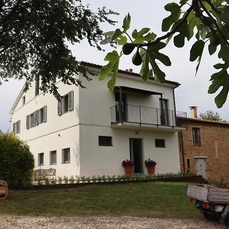Sogno Delle Api Lavanda *